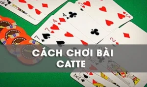 Cách Chơi Sắc Tê Cổng Game SunWin Chuẩn Xác Và Hiệu Quả Cho Người Mới